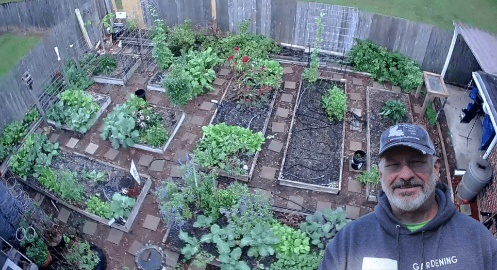 Darrell Ferguson's Backyard Organic Raised Bed Garden